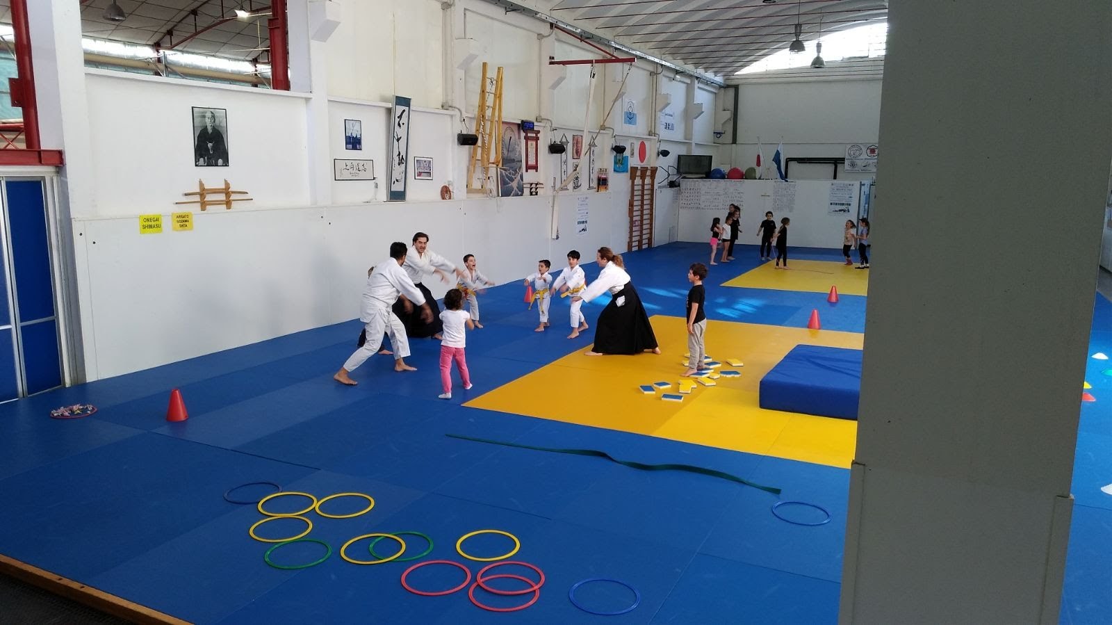 Esami del corso Gioca Aikido